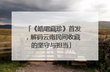 《皓珺藏珍》首发，解码云南民间收藏的坚守与担当