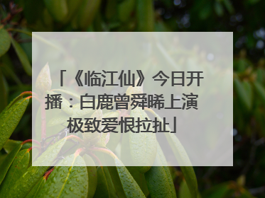 《临江仙》今日开播：白鹿曾舜晞上演极致爱恨拉扯