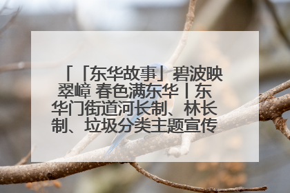 「东华故事」碧波映翠嶂 春色满东华丨东华门街道河长制、林长制、垃圾分类主题宣传如火如荼中