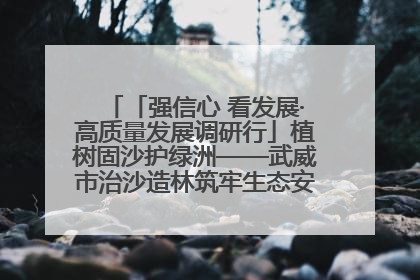 「强信心 看发展·高质量发展调研行」植树固沙护绿洲——武威市治沙造林筑牢生态安全屏障见闻