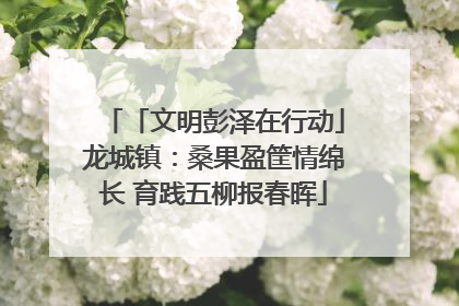 「文明彭泽在行动」龙城镇：桑果盈筐情绵长 育践五柳报春晖