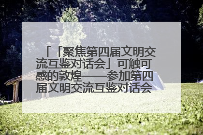 「聚焦第四届文明交流互鉴对话会」可触可感的敦煌——参加第四届文明交流互鉴对话会的外宾参观上元市集