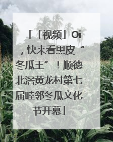 「视频」Oi，快来看黑皮“冬瓜王”！顺德北滘黄龙村第七届睦邻冬瓜文化节开幕