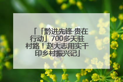 「黔进先锋·贵在行动」700多天驻村路！赵大志用实干印乡村振兴记