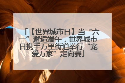 【世界城市日】当“六一”邂逅端午，世界城市日携手万里街道举行“宠爱万家”定向赛