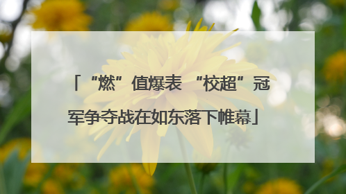 “燃”值爆表 “校超”冠军争夺战在如东落下帷幕