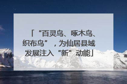 “百灵鸟、啄木鸟、织布鸟”，为仙居县域发展注入“新”动能