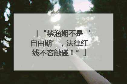 “禁渔期不是‘自由期’，法律红线不容触碰！”