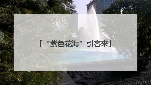 “紫色花海”引客来
