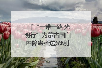“一带一路·光明行”为蒙古国白内障患者送光明