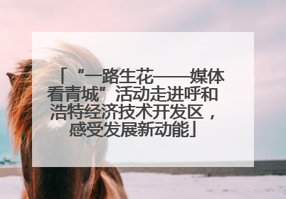 “一路生花——媒体看青城”活动走进呼和浩特经济技术开发区，感受发展新动能