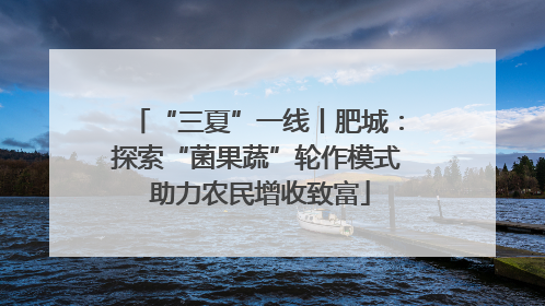 “三夏”一线丨肥城：探索“菌果蔬”轮作模式 助力农民增收致富