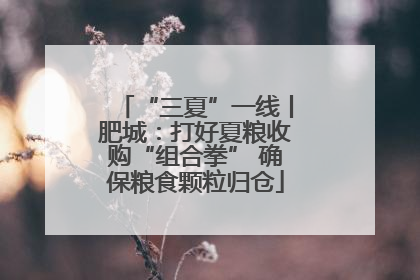 “三夏”一线丨肥城：打好夏粮收购“组合拳” 确保粮食颗粒归仓