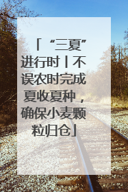 “三夏”进行时丨不误农时完成夏收夏种，确保小麦颗粒归仓