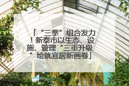 “三拳”组合发力！新泰市以生态、设施、管理“三重升级”绘就宜居新画卷