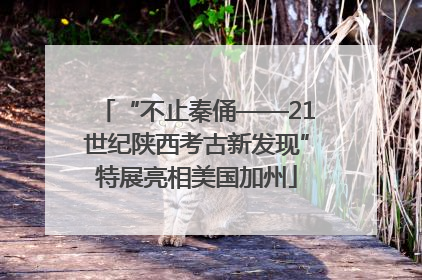 “不止秦俑——21世纪陕西考古新发现”特展亮相美国加州