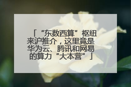 “东数西算”枢纽来沪推介，这里竟是华为云、腾讯和网易的算力“大本营”