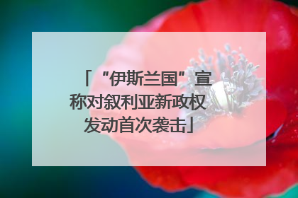 “伊斯兰国”宣称对叙利亚新政权发动首次袭击