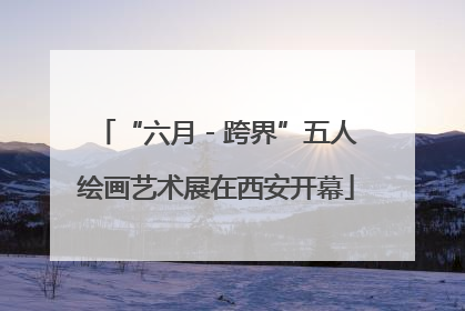 “六月 - 跨界”五人绘画艺术展在西安开幕
