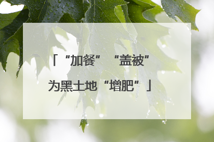 “加餐”“盖被” 为黑土地“增肥”