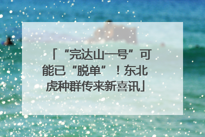 “完达山一号”可能已“脱单”！东北虎种群传来新喜讯