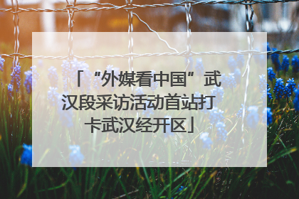 “外媒看中国”武汉段采访活动首站打卡武汉经开区