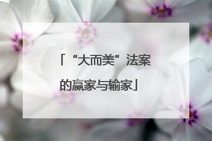 “大而美”法案的赢家与输家