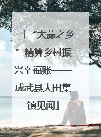 “大蒜之乡”精算乡村振兴幸福账——成武县大田集镇见闻