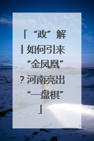 “政”解丨如何引来“金凤凰”？河南亮出“一盘棋”