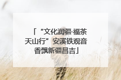 “文化润疆·福茶天山行”安溪铁观音香飘新疆昌吉