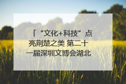 “文化+科技”点亮荆楚之美 第二十一届深圳文博会湖北馆抢“鲜”看