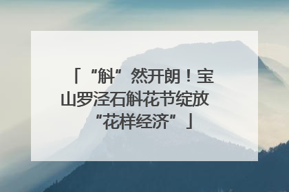 “斛”然开朗！宝山罗泾石斛花节绽放“花样经济”