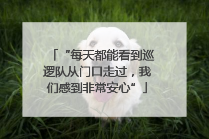 “每天都能看到巡逻队从门口走过，我们感到非常安心”