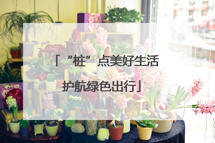 “桩”点美好生活 护航绿色出行