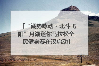 “潮势咏动・北斗飞阳”月湖迷你马拉松全民健身赛在汉启动