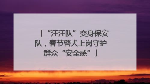 “汪汪队”变身保安队，春节警犬上岗守护群众“安全感”