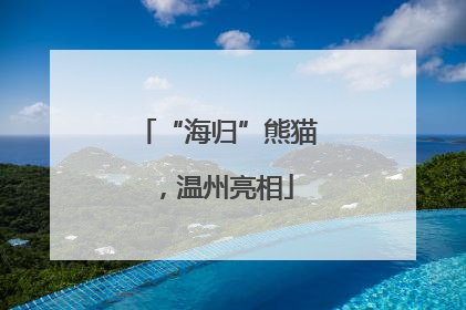 “海归”熊猫，温州亮相