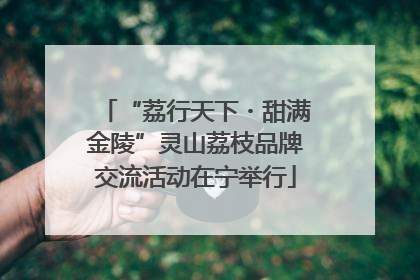 “荔行天下・甜满金陵”灵山荔枝品牌交流活动在宁举行