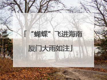 “蝴蝶”飞进海南 厦门大雨如注
