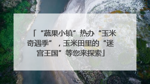 “蔬果小镇”热办“玉米奇遇季”，玉米田里的“迷宫王国”等您来探索