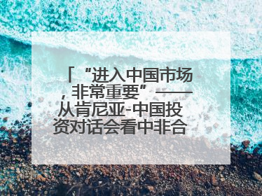 “进入中国市场，非常重要”——从肯尼亚-中国投资对话会看中非合作机遇