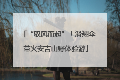 “驭风而起”！滑翔伞带火安吉山野体验游