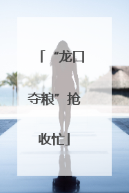 “龙口夺粮”抢收忙