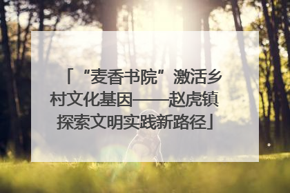 “麦香书院”激活乡村文化基因——赵虎镇探索文明实践新路径