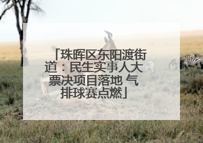 珠晖区东阳渡街道：民生实事人大票决项目落地 气排球赛点燃