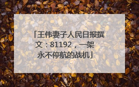 王伟妻子人民日报撰文：81192，一架永不停航的战机