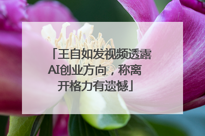 王自如发视频透露AI创业方向，称离开格力有遗憾