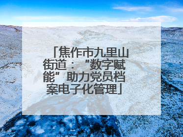 焦作市九里山街道：“数字赋能”助力党员档案电子化管理