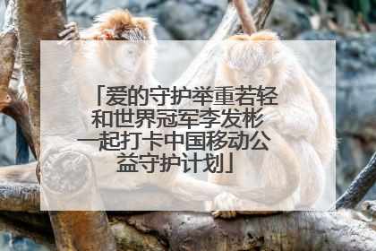 爱的守护举重若轻 和世界冠军李发彬一起打卡中国移动公益守护计划