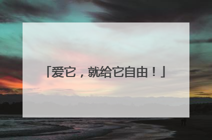 爱它，就给它自由！